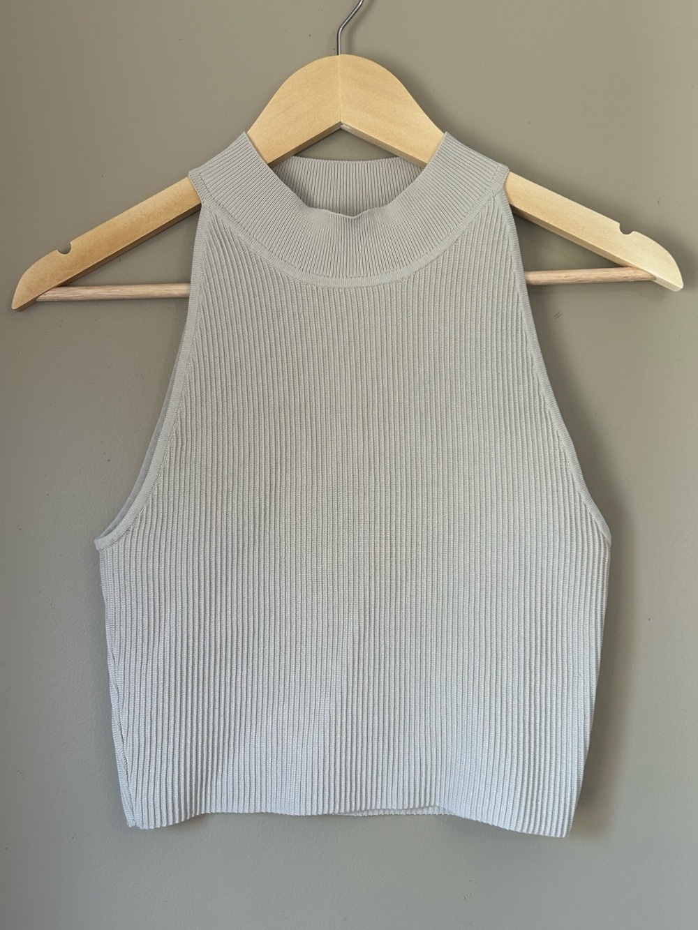 Babaton Aritzia Contour Ribbed High Neck Tank Top Oatmeal Beige Medium